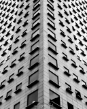 archi1_bnw